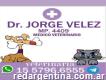 Veterinaria Dr Jorge Vélez