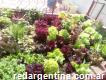 Huerta y Jardinería Orgánica