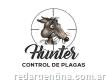 Desinfecciones en Quilmes - Hunter, Control de Plagas